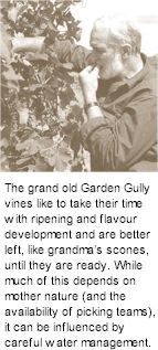 Garden Gully