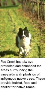 http://www.foxcreekwines.com.au/ - Fox Creek